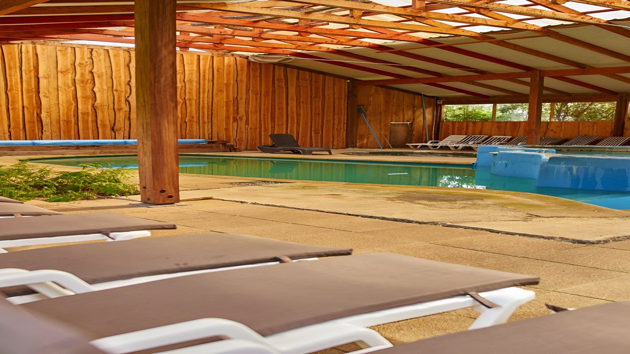 Termas De Llifen Desde Valdivia Un Oasis Natural foto 2