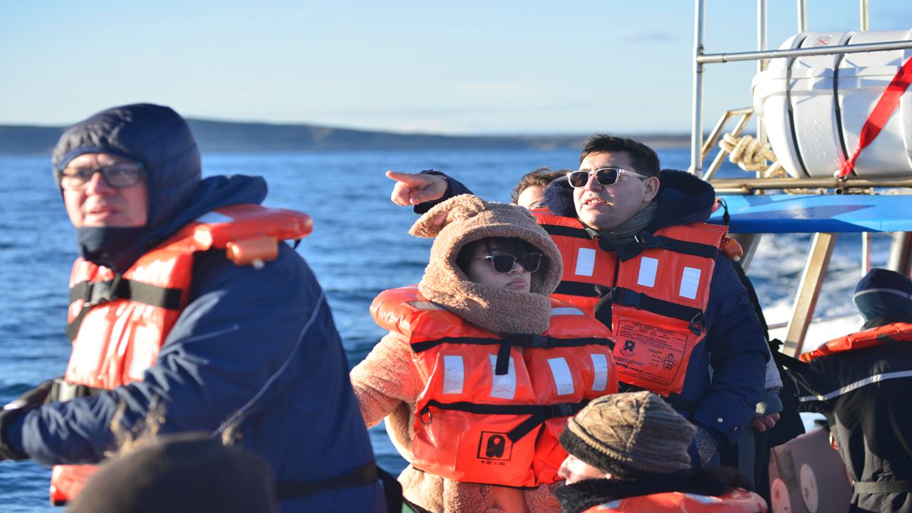 Whale Watching foto 6