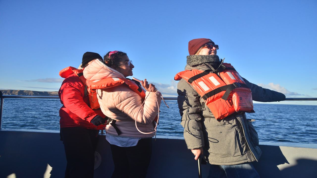 Whale Watching foto 12