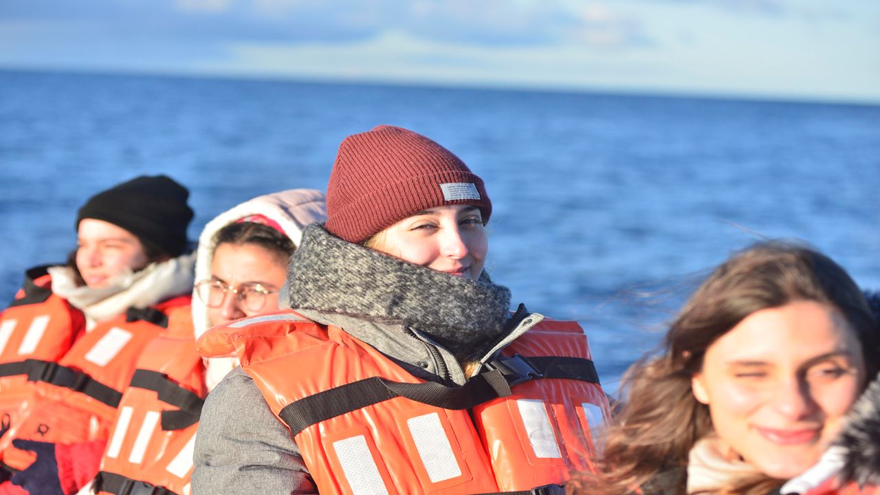 Whale Watching foto 11