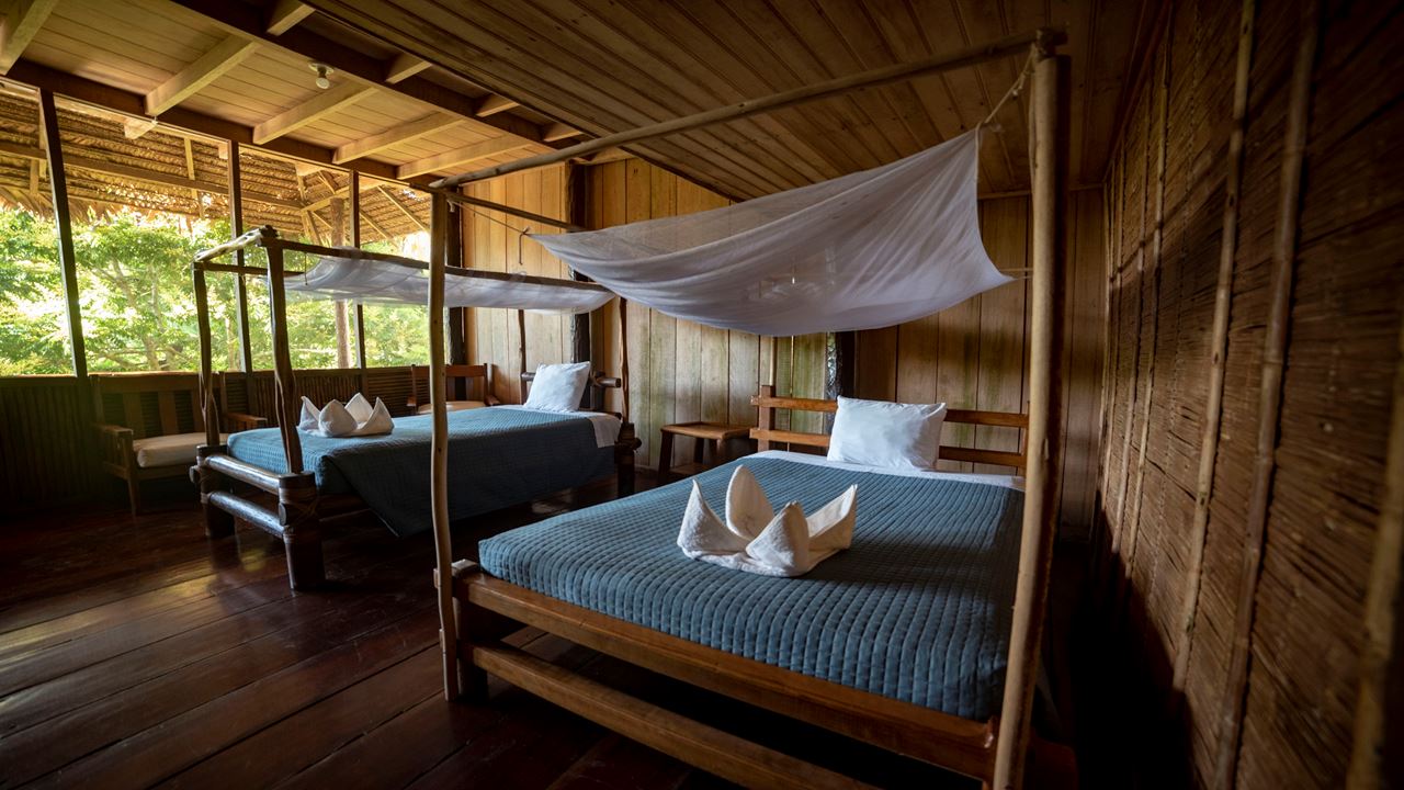 Lodge Dans La Jungle Pacaya Samiria foto 7
