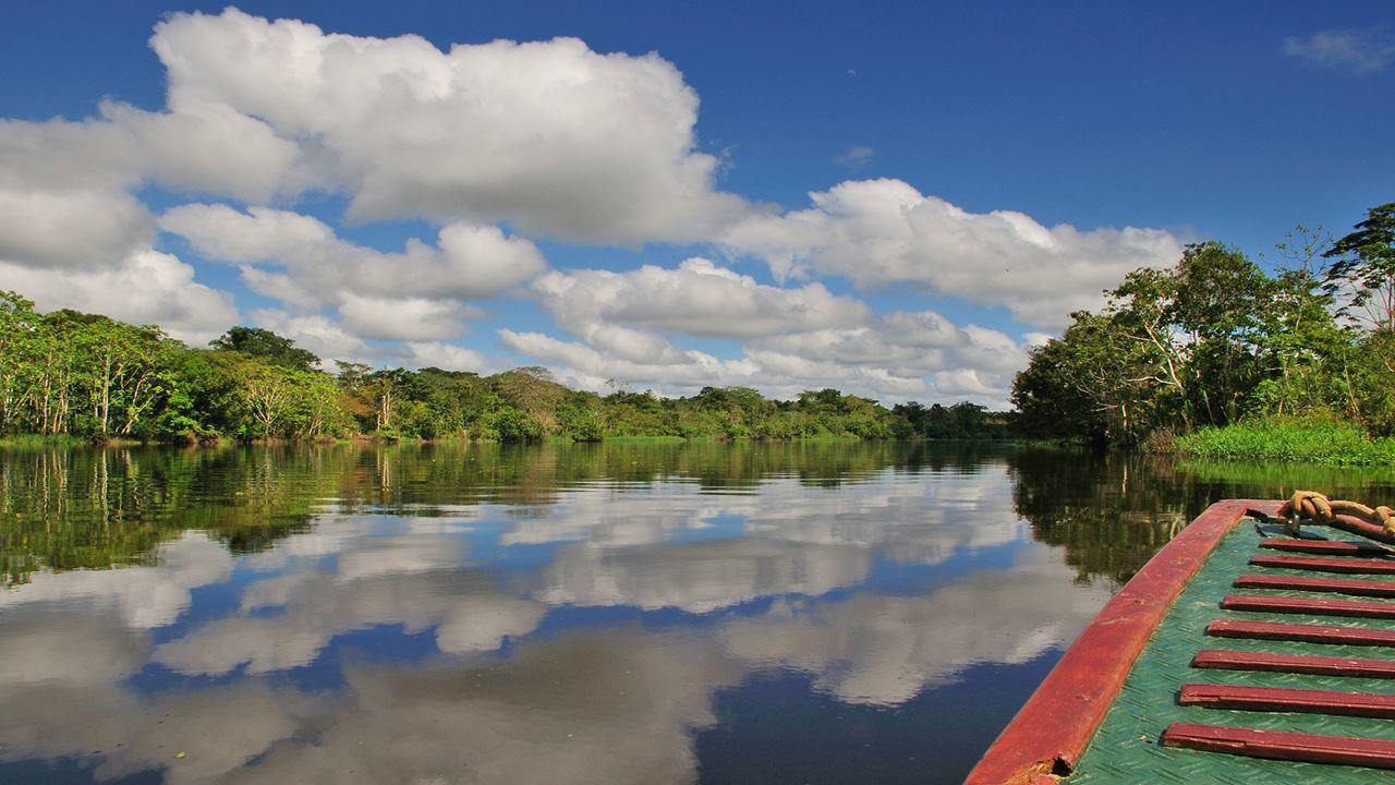Trip To Pacaya Samiria Amazon Lodge foto 6