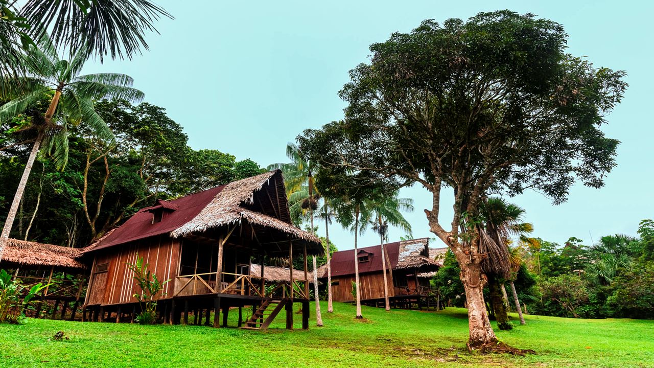 Trip To Pacaya Samiria Amazon Lodge foto 8