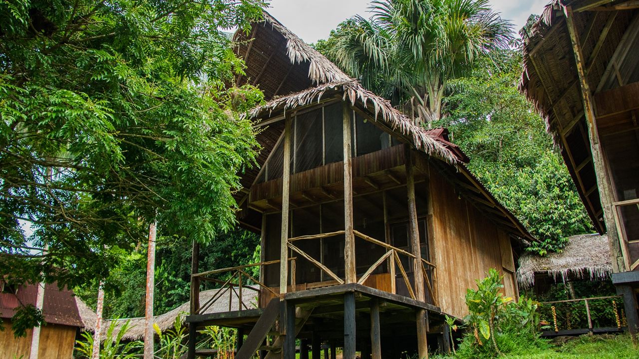 Lodge Pacaya Samiria National Reserve foto 2