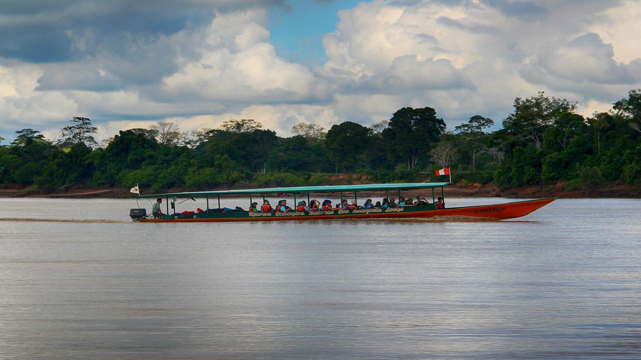 Expérience Ecolodge À Tambopata foto 6