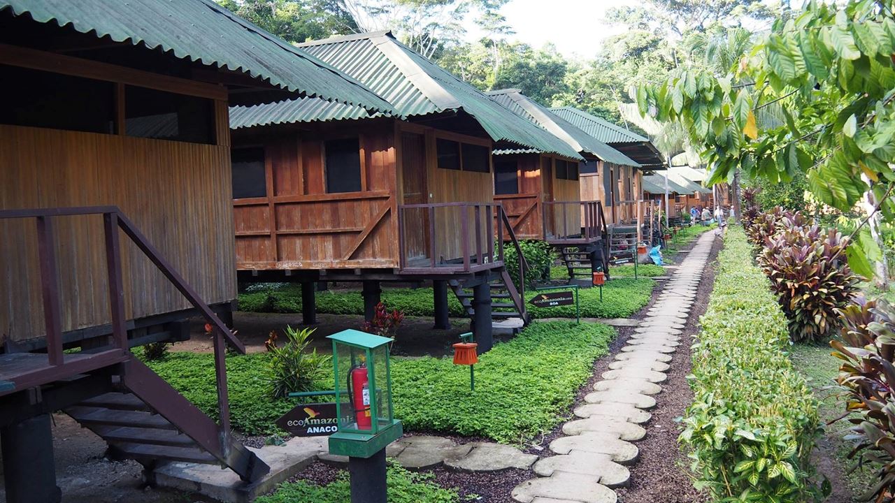 Aventura Na Selva De Tambopata foto 8