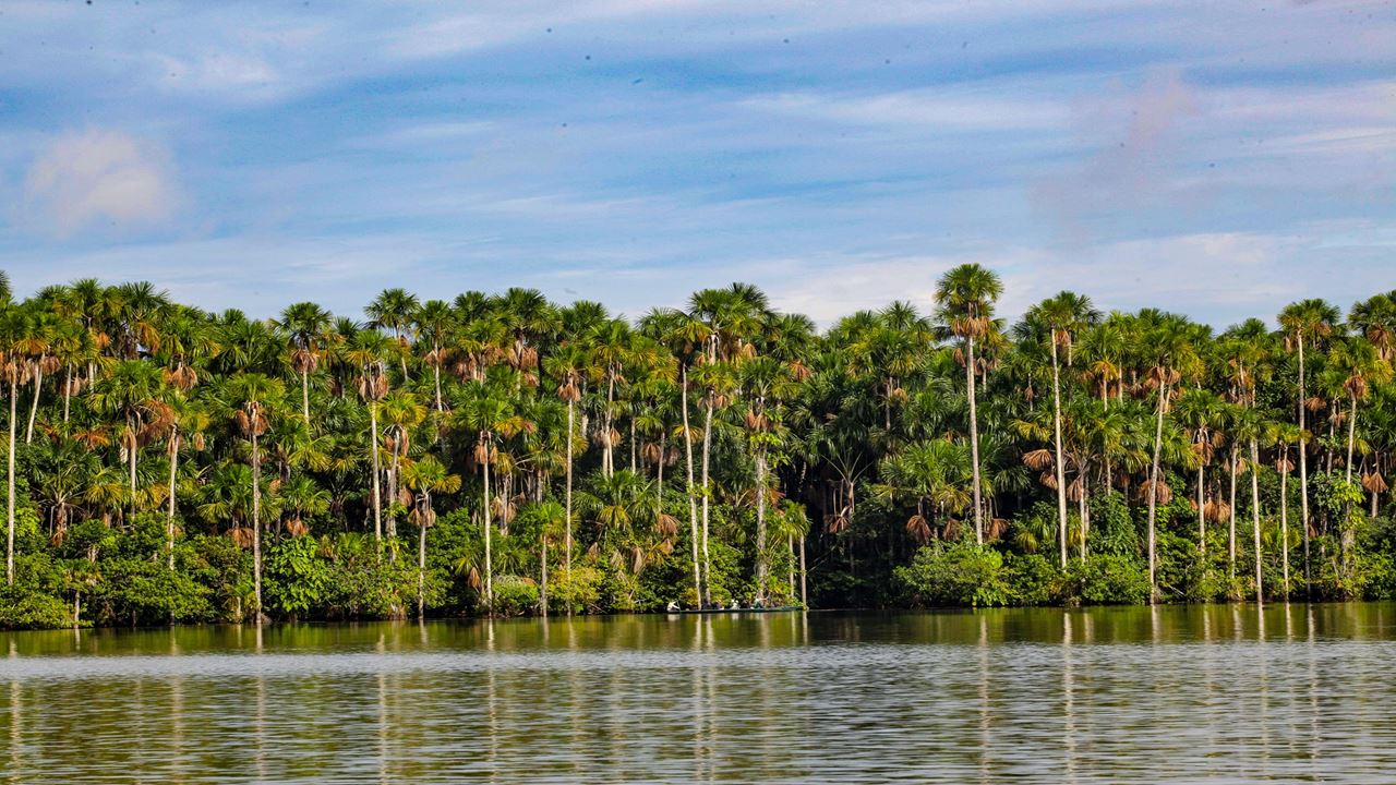 Aventura Na Selva De Tambopata foto 2