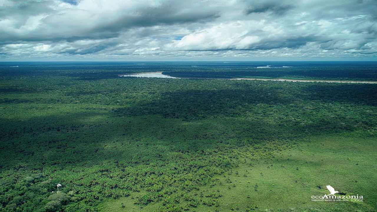 Merveilles De Réserve Nationale De Tambopata foto 5