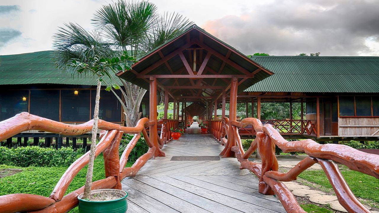 Merveilles De Réserve Nationale De Tambopata foto 2
