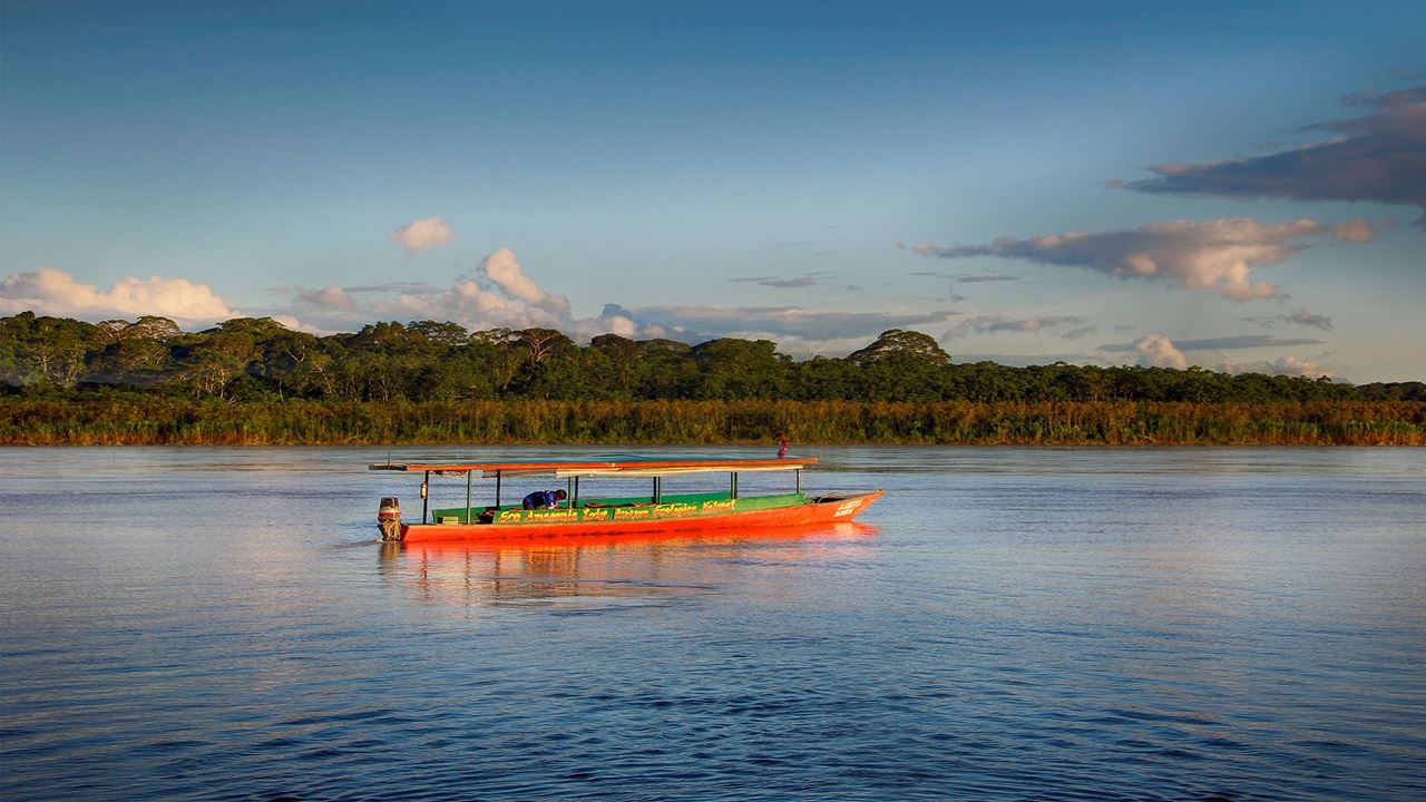 Merveilles De Réserve Nationale De Tambopata foto 1