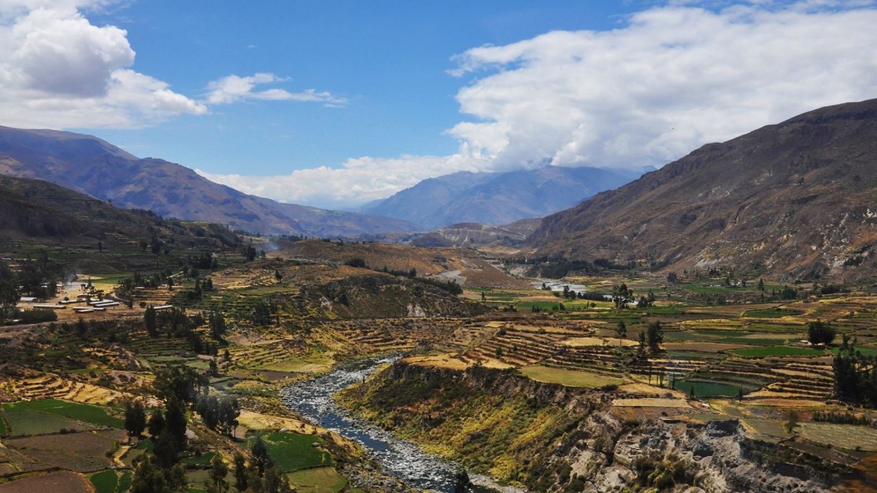Randonnée Dans Le Canyon De Colca foto 10