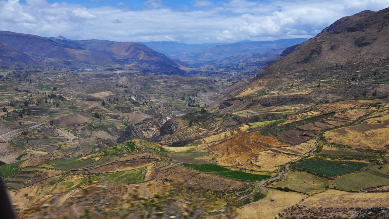 Randonnée Dans Le Canyon De Colca foto 9