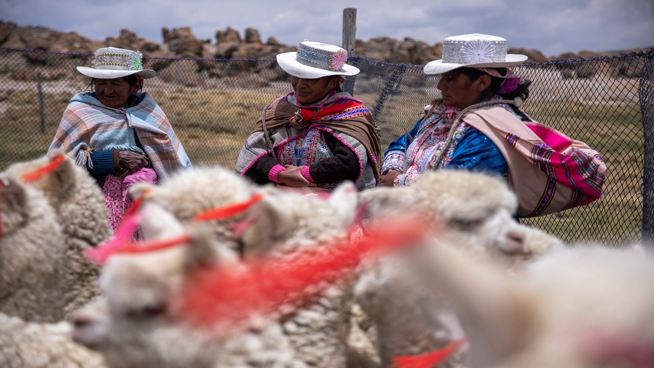 Trekking En El Valle Del Colca foto 3