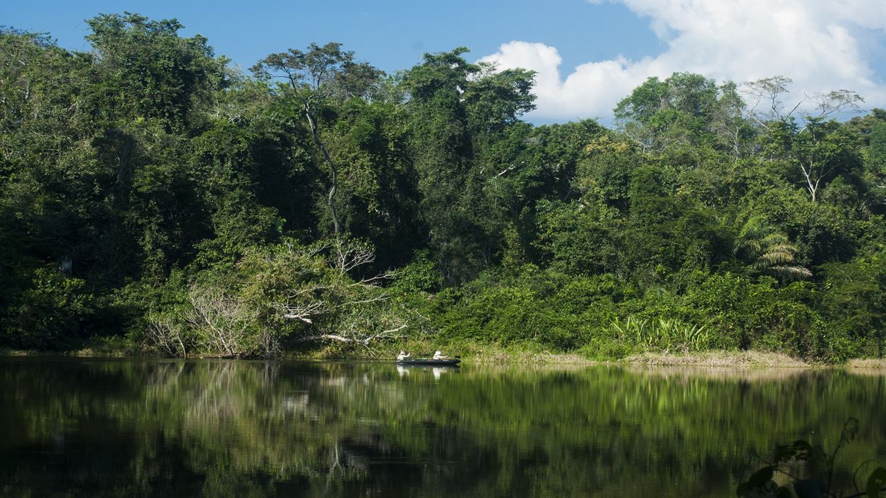 Parque Nacional Manu: Reserva Mundial Da Biosfera foto 10