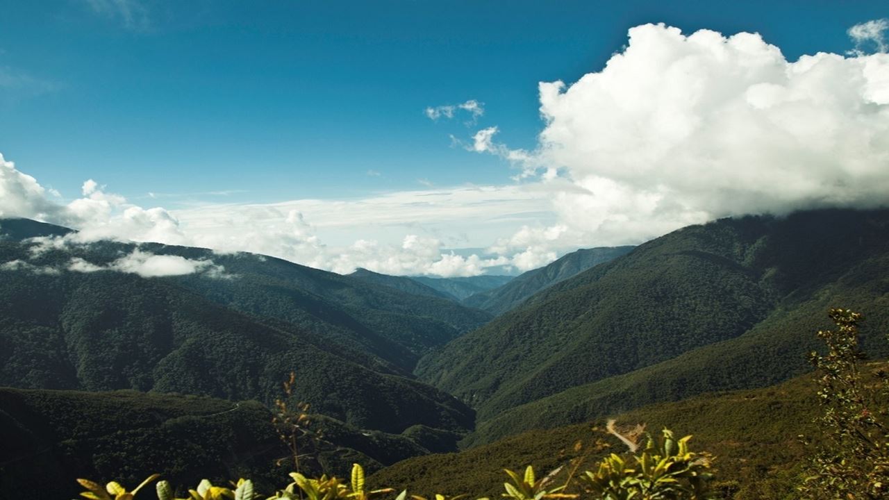 Parque Nacional Manu: Reserva Mundial Da Biosfera foto 11