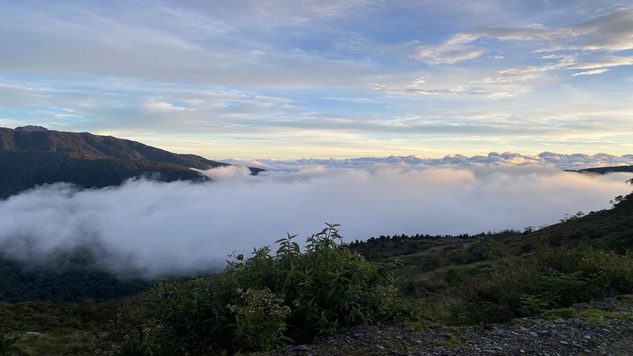 La Selva Del Manu De Cusco foto 6