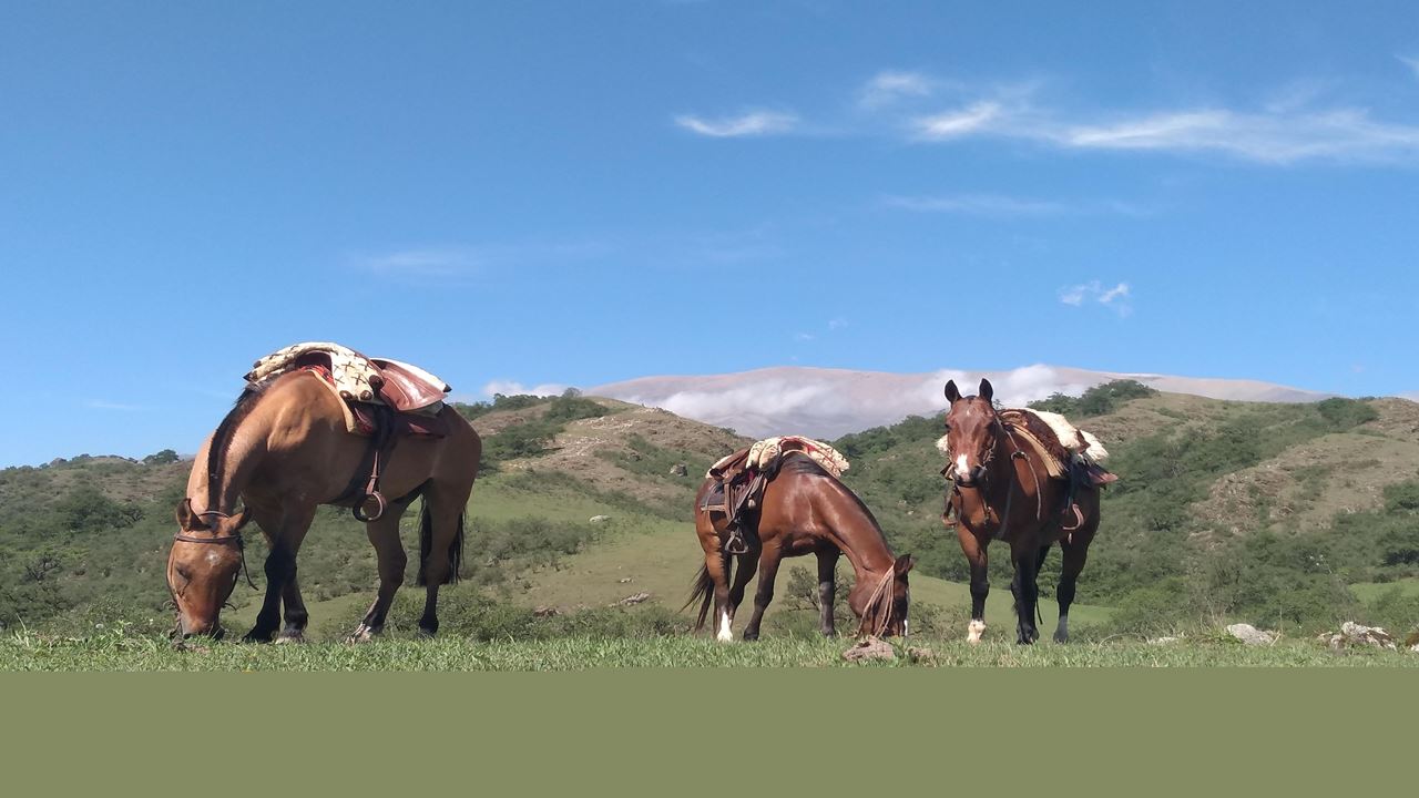 Expérience À Cheval A Tucumán foto 4