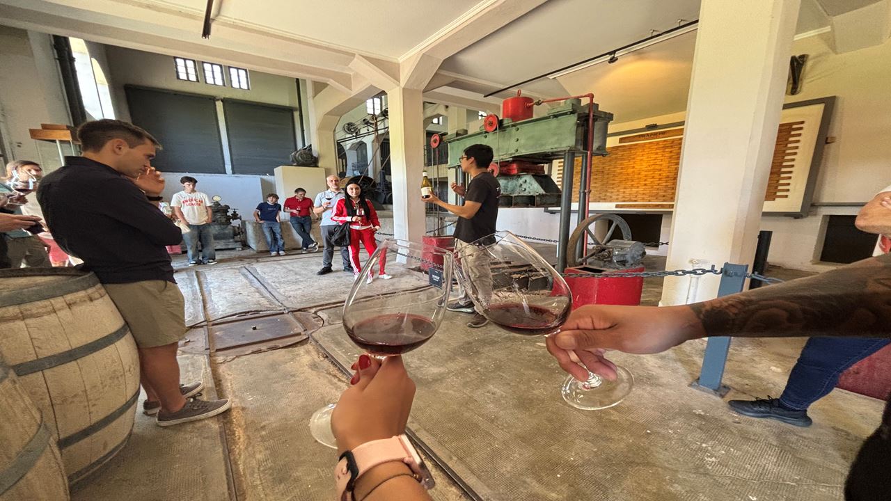 Tour And Tasting At Trapiche Winery foto 5