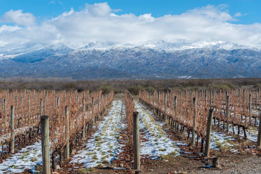 Wine Tasting At Bodega Salentein foto 9