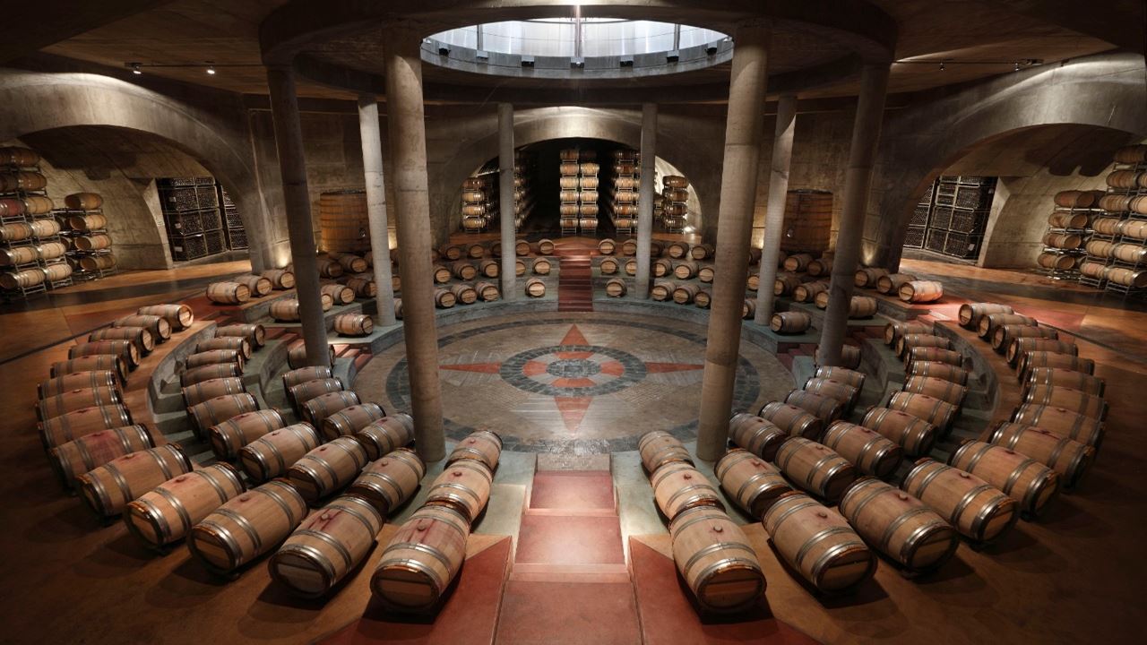 Wine Tasting At Bodega Salentein foto 6