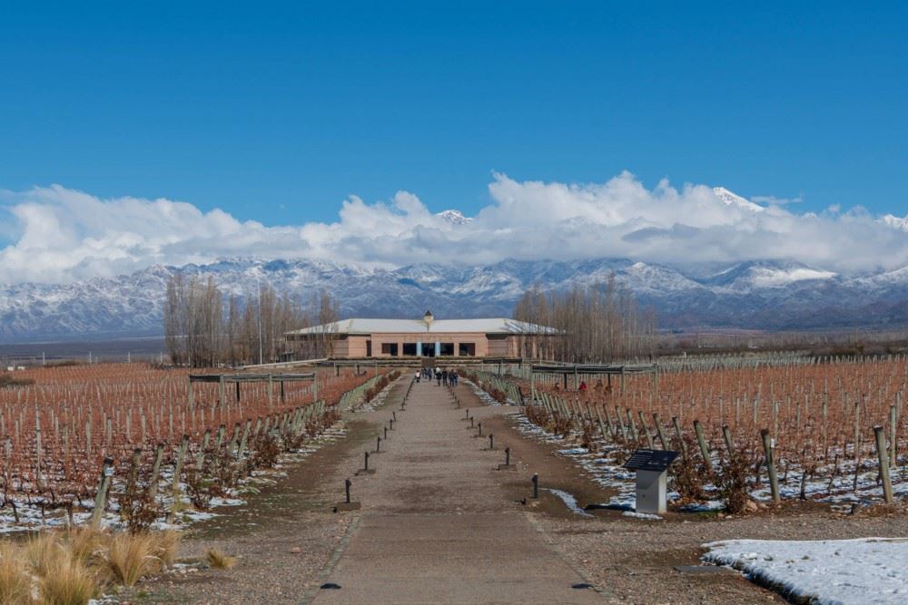 Wine Tasting At Bodega Salentein foto 2