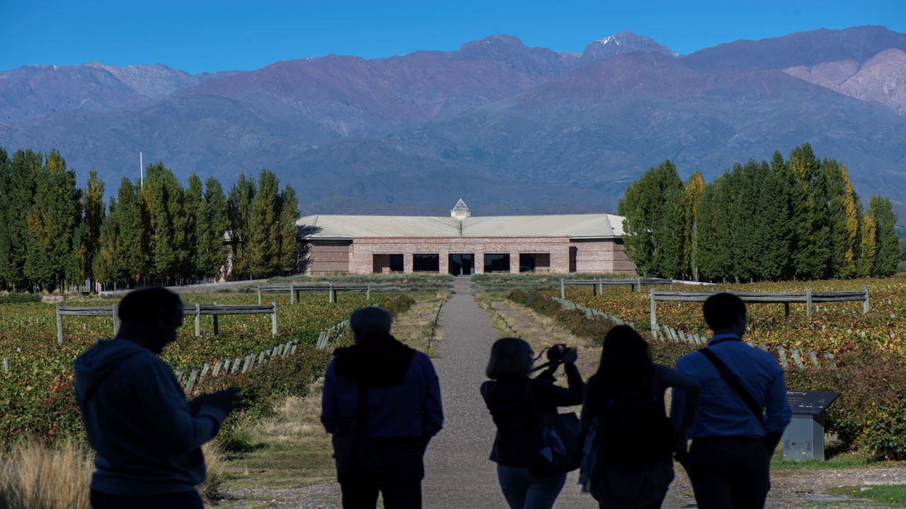 Wine Tasting At Bodega Salentein foto 10