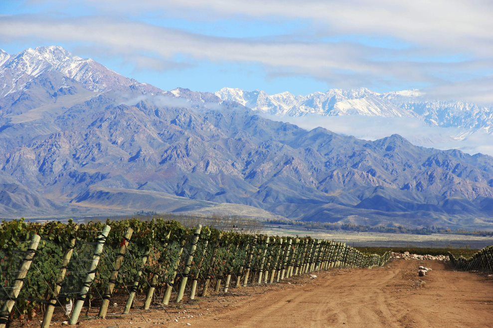 Zuccardi Winery Wine Tasting Tour foto 4