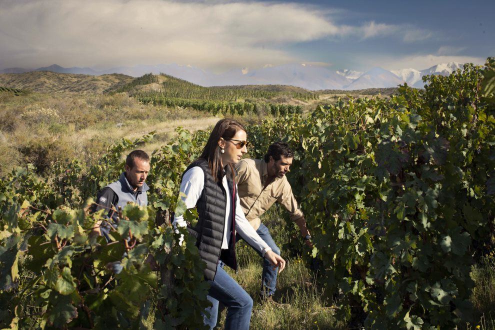 Zuccardi Winery Wine Tasting Tour foto 5