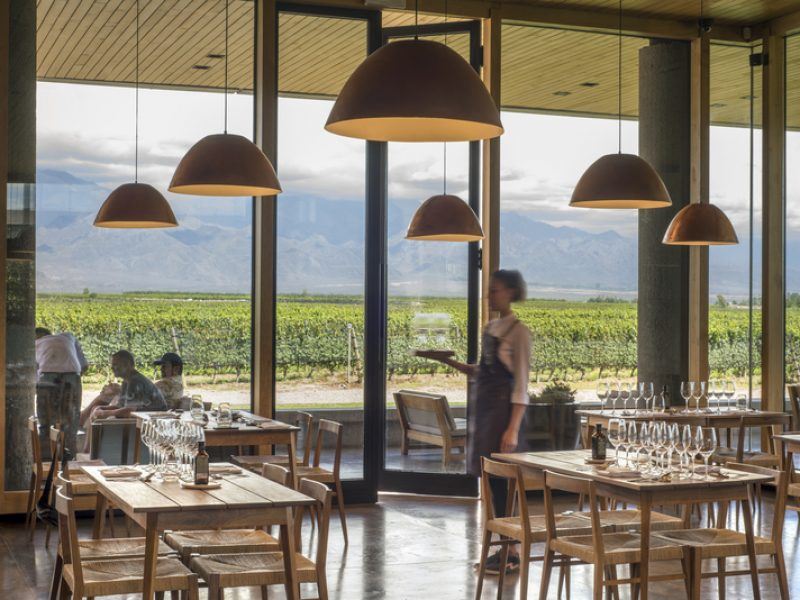 Zuccardi Winery Wine Tasting Tour foto 10
