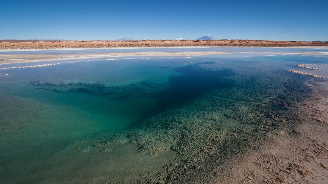 Expérience Exclusive Dans La Puna Argentine foto 4