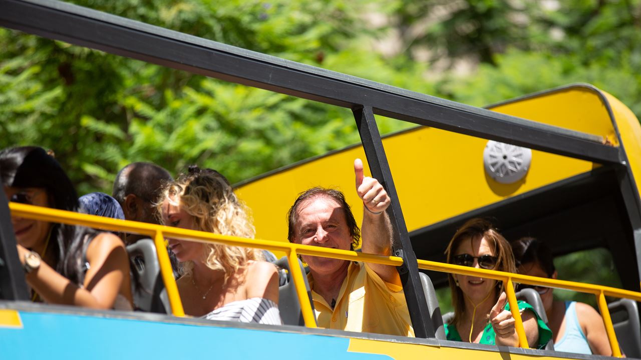 Passeio De Ônibus Turístico foto 4