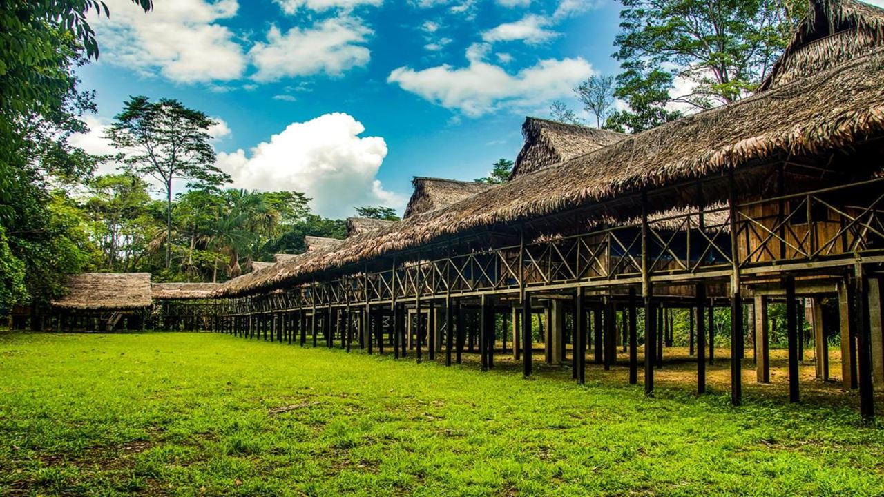 Ecolodge Tamshiyacu Tahuayo Reserve foto 8