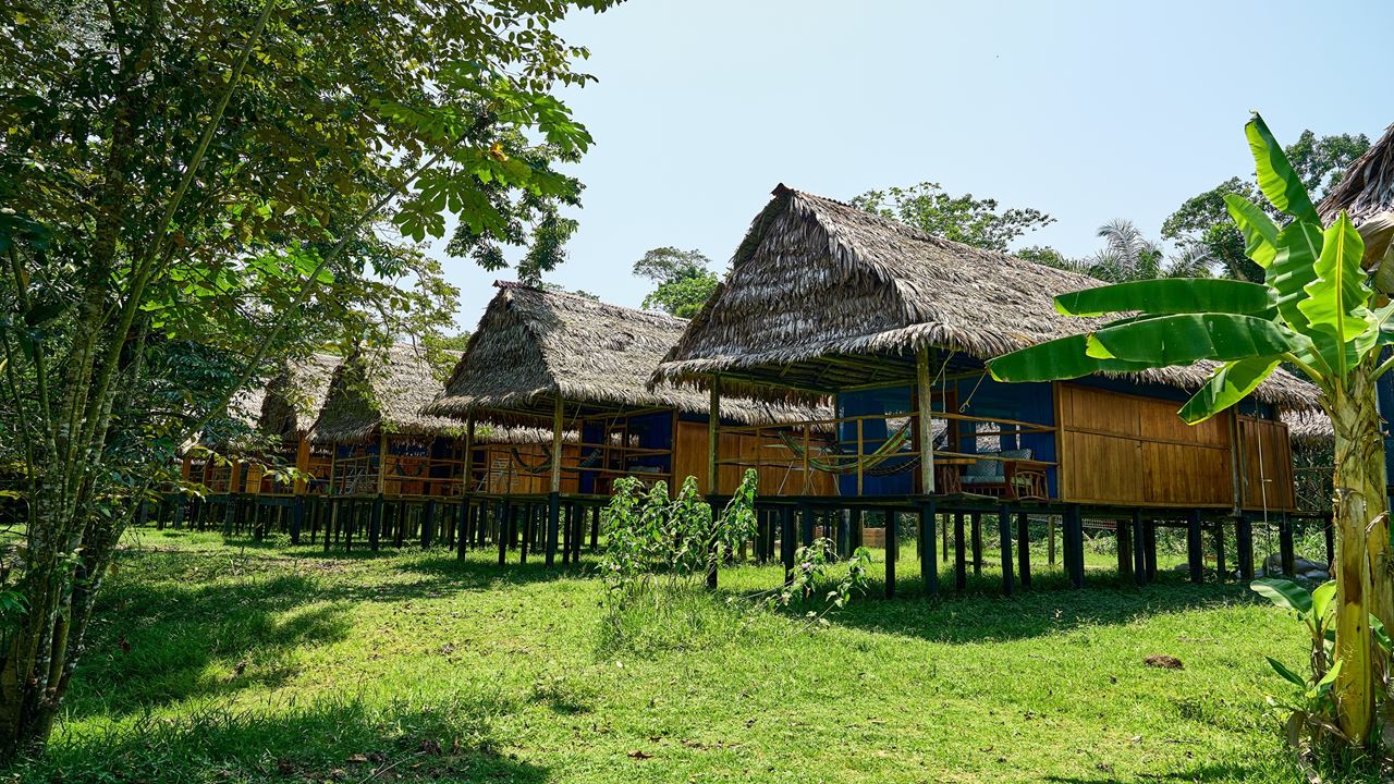 Ecolodge Tamshiyacu Tahuayo Reserve foto 6