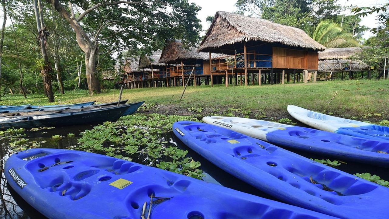 Réserve Amazonienne Tamshiyacu Tahuayo foto 1