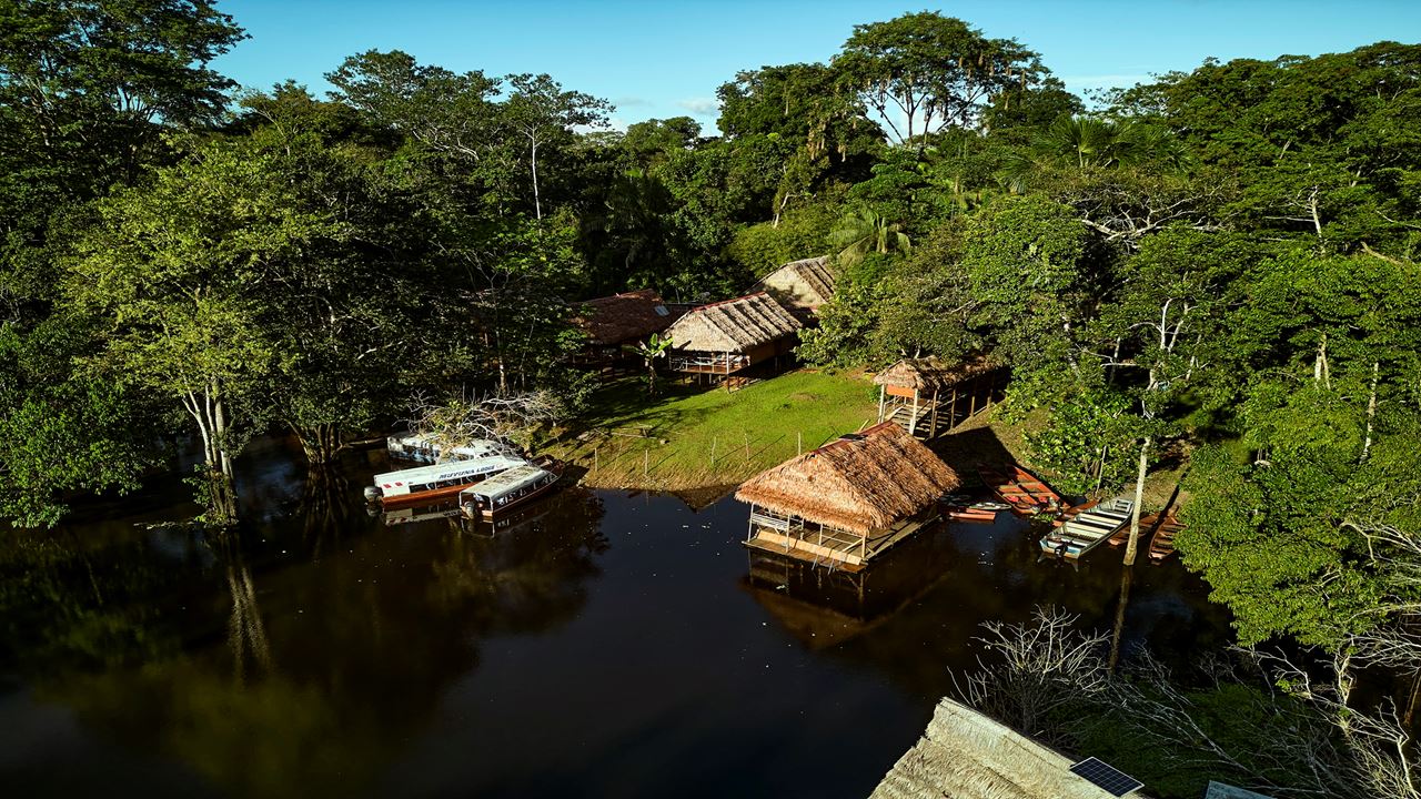 Réserve Amazonienne Tamshiyacu Tahuayo foto 9