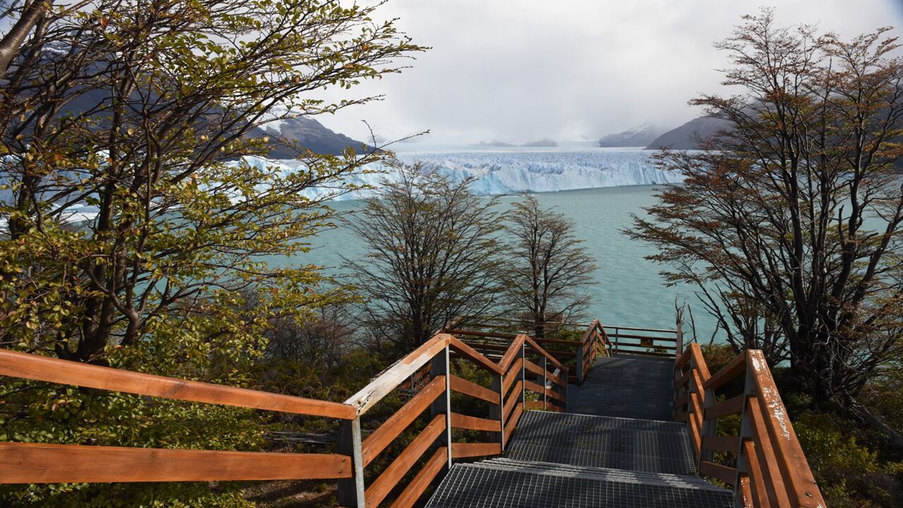 Promo: Transferências E Geleira Perito Moreno foto 5