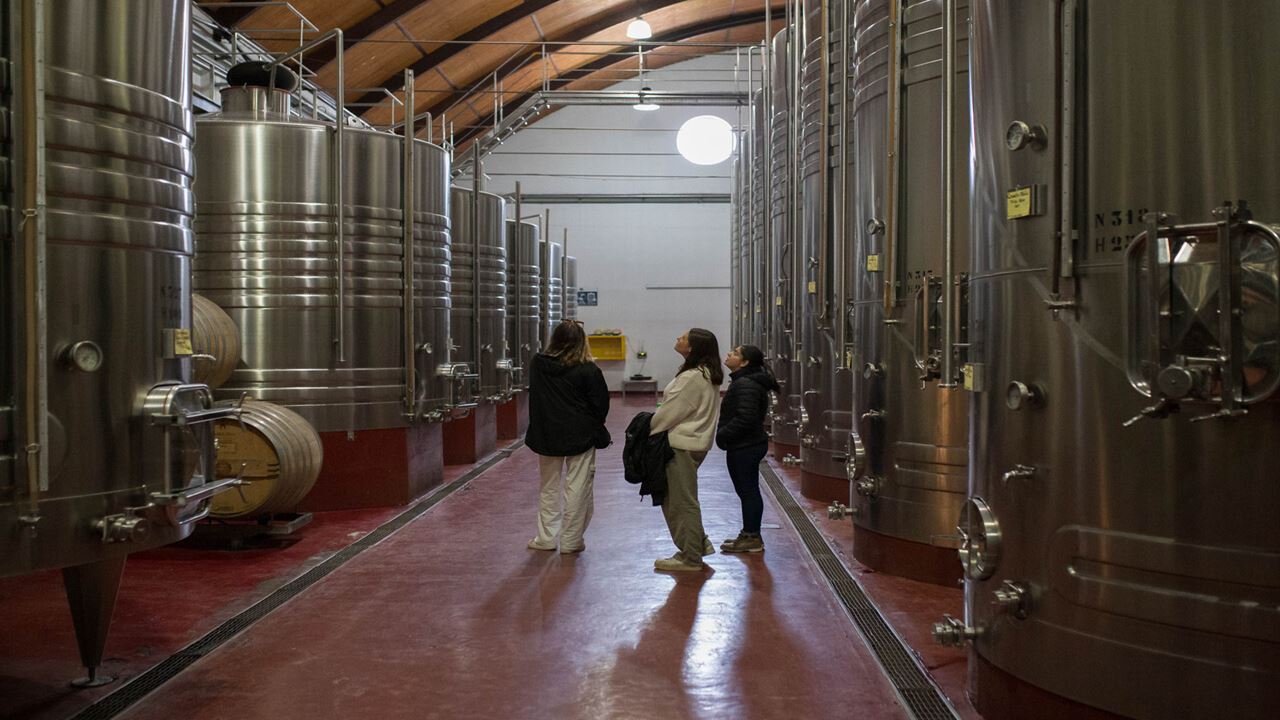 High Mountain Promo, Wineries And Transfers foto 11