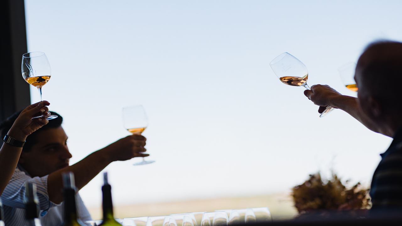 High Mountain Promo, Wineries And Transfers foto 4