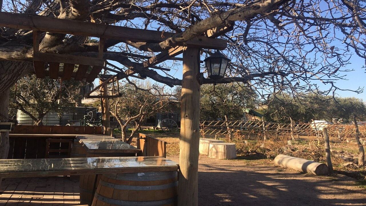 High Mountain Promo, Wineries And Transfers foto 12
