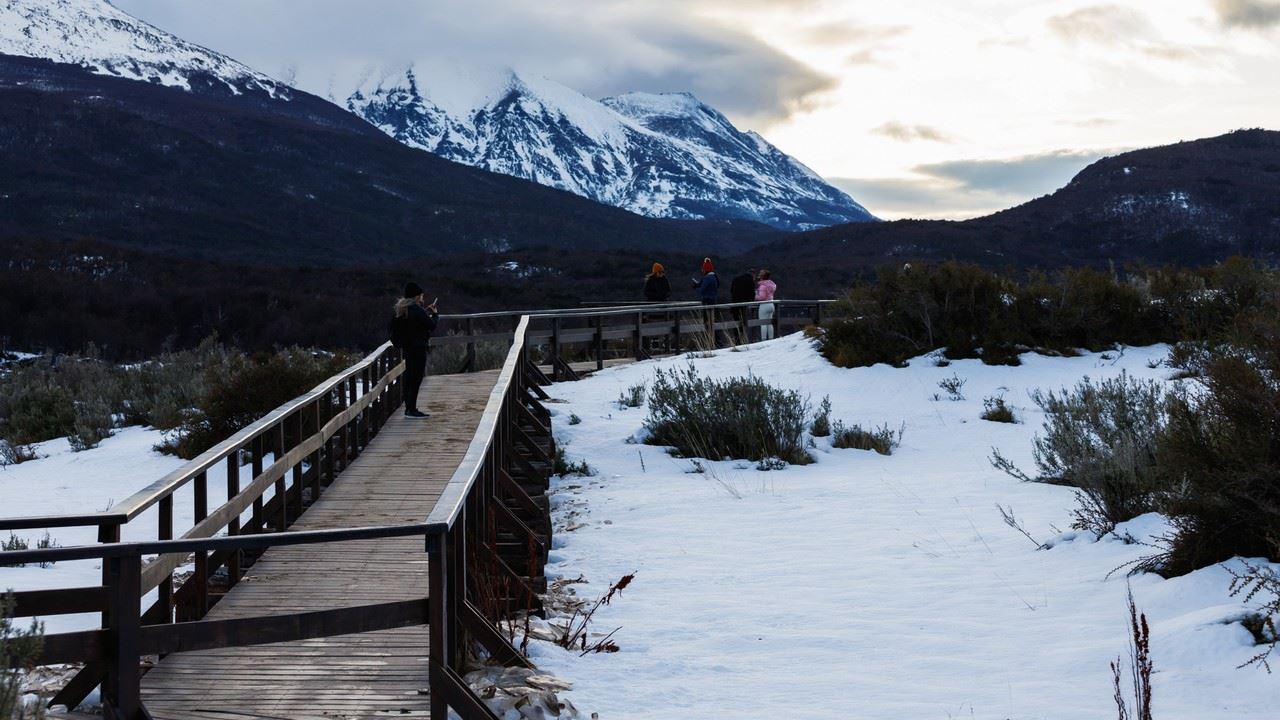 Offer: Transfers To And From Airport And National Park By Train foto 2