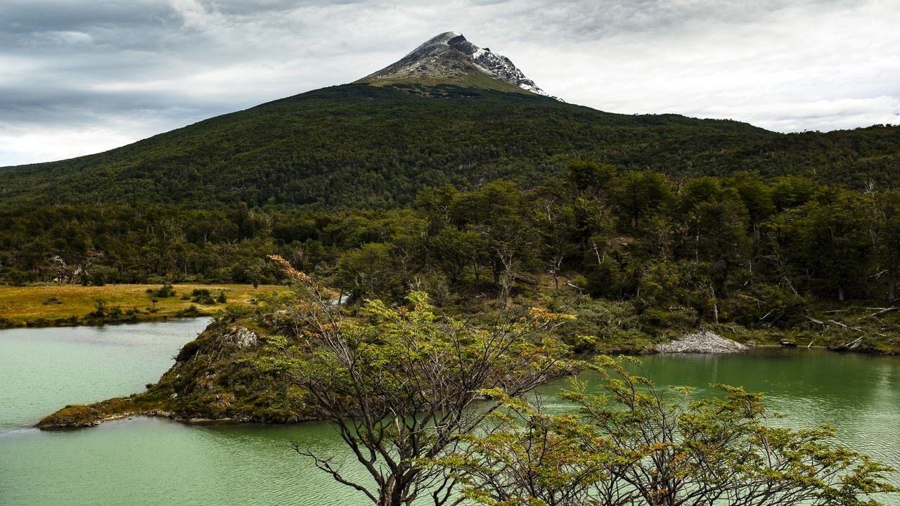 Offer: Transfers To And From Airport And National Park By Train foto 10