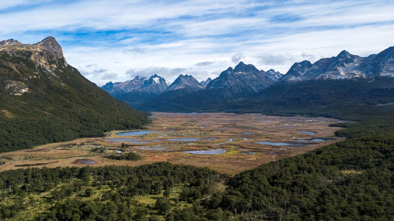 Promo: Transfers To The Airport, National Park And Fueguino Lakes foto 3