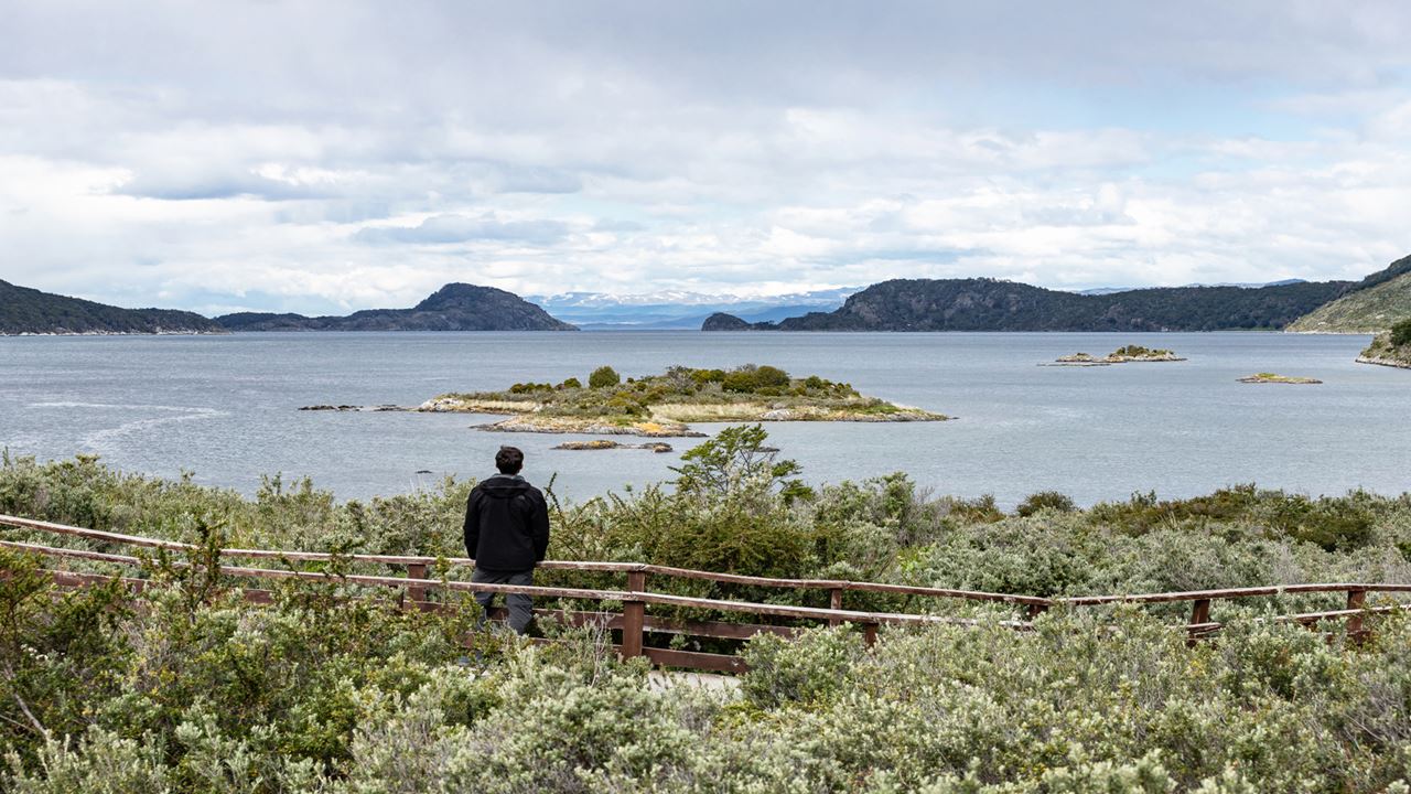 Promo: Transfers To The Airport, National Park And Fueguino Lakes foto 2