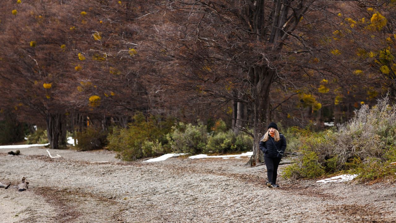 Promo: Transfers To The Airport, National Park And Fueguino Lakes foto 12