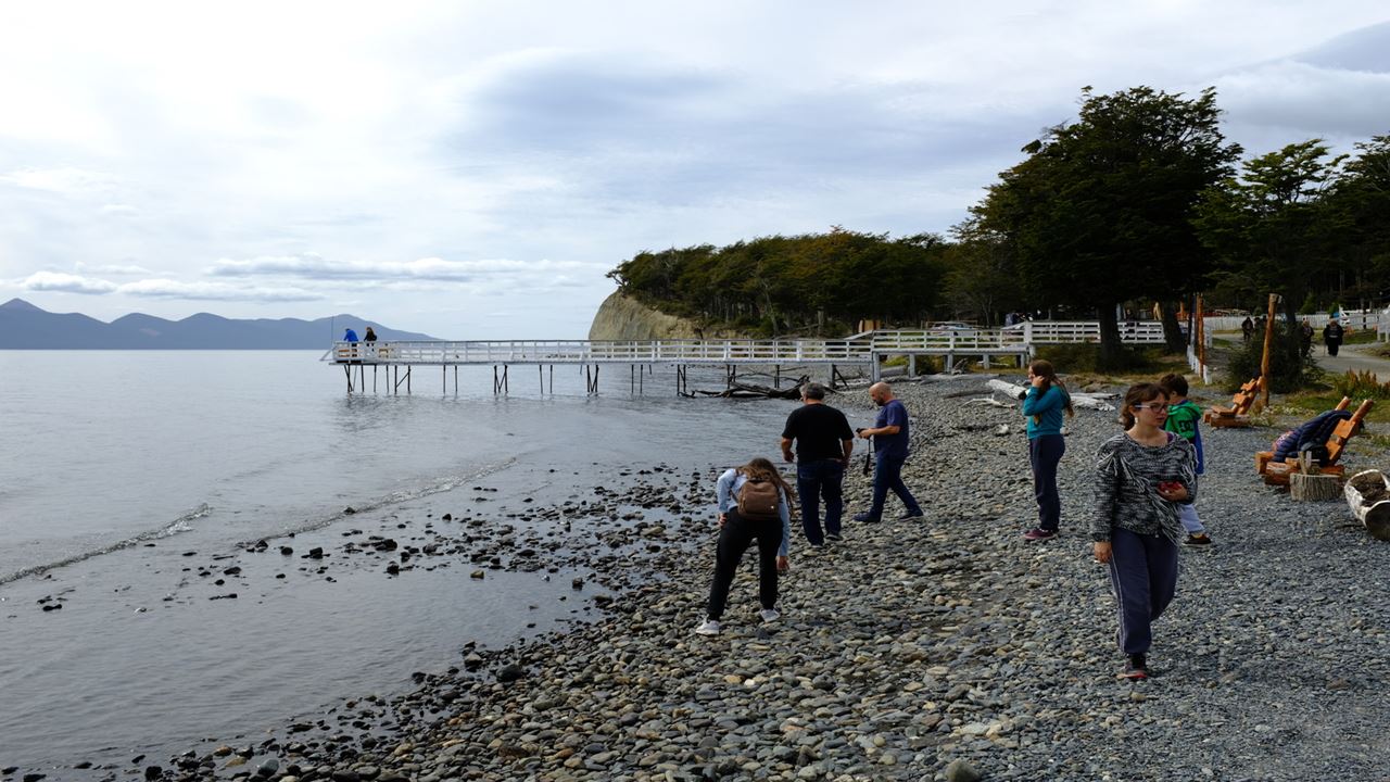 Promo: Transfers To The Airport, National Park And Fueguino Lakes foto 7