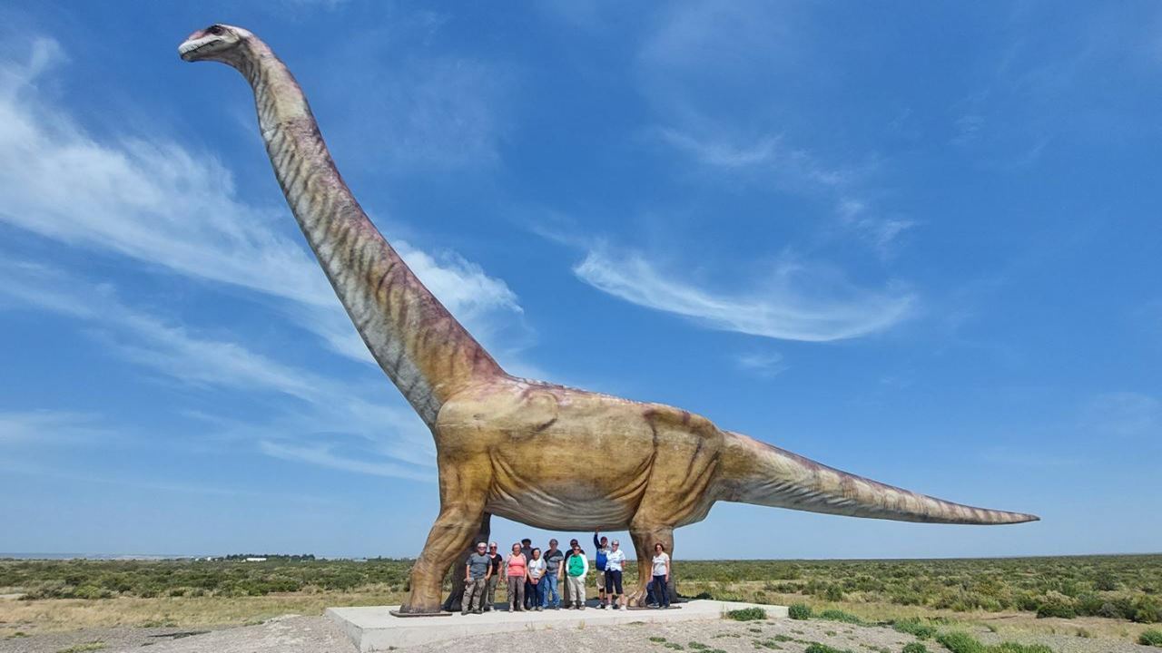 Offer: Punta Tombo And Airport Transfers foto 1