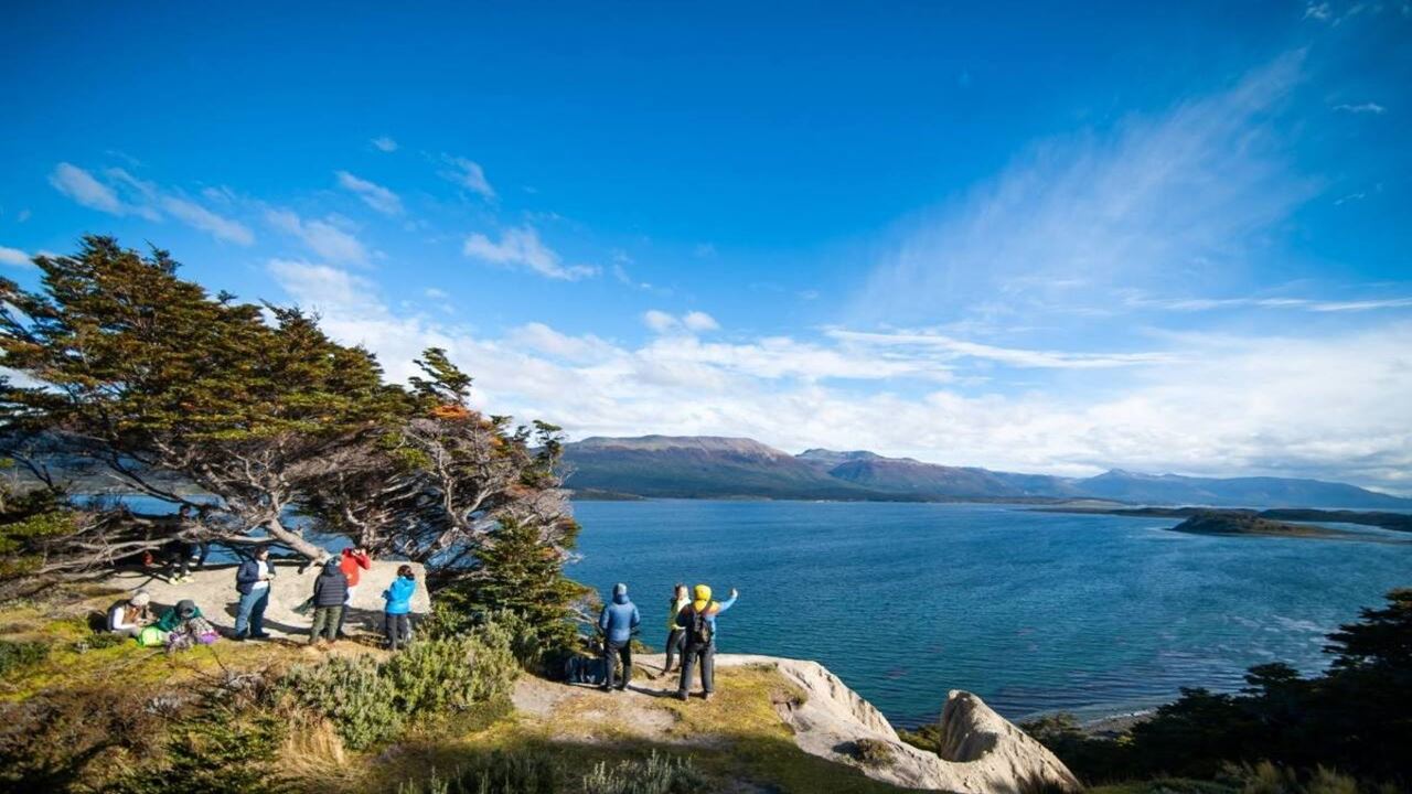 Offer: Airport Transfers, National Park And Sailing To Island Of Wolves And Birds foto 14