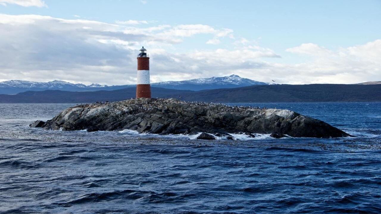 Offer: Airport Transfers, National Park And Sailing To Island Of Wolves And Birds foto 13
