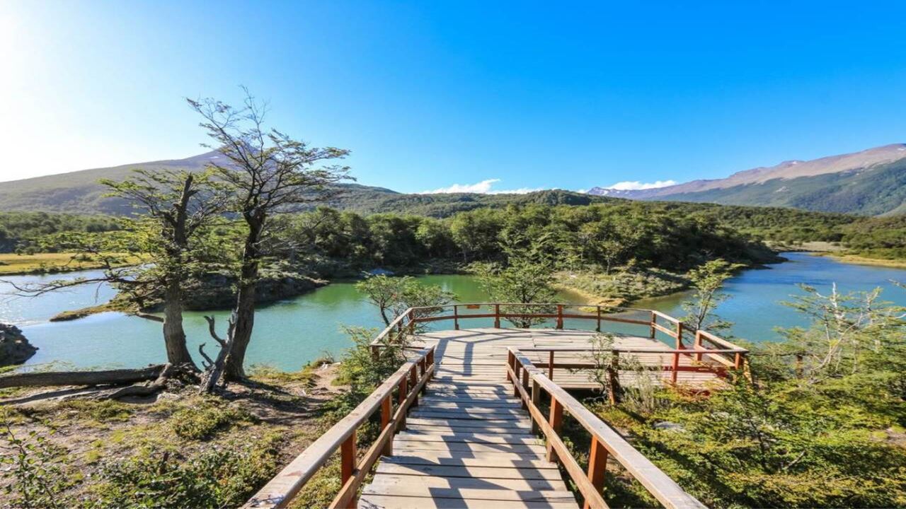 Offer: Airport Transfers, National Park And Sailing To Island Of Wolves And Birds foto 8