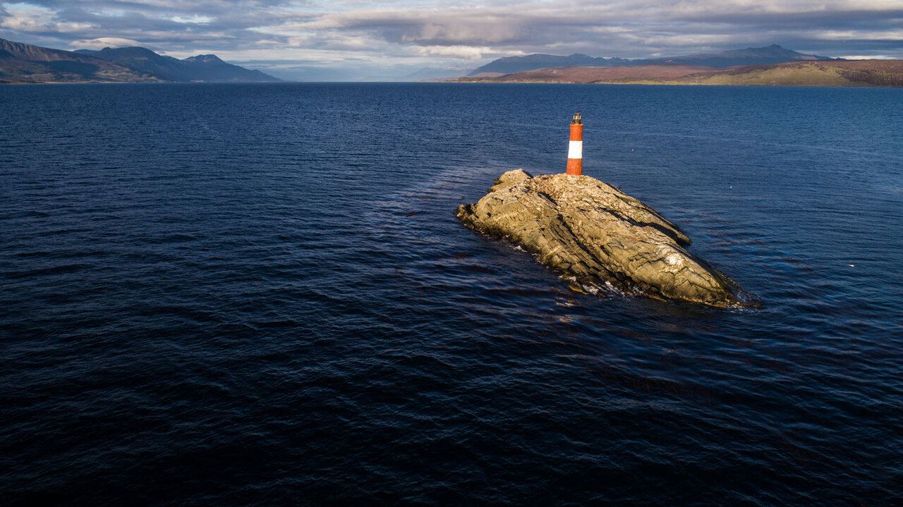 Offer: Airport Transfers, National Park And Sailing To Island Of Wolves And Birds foto 10
